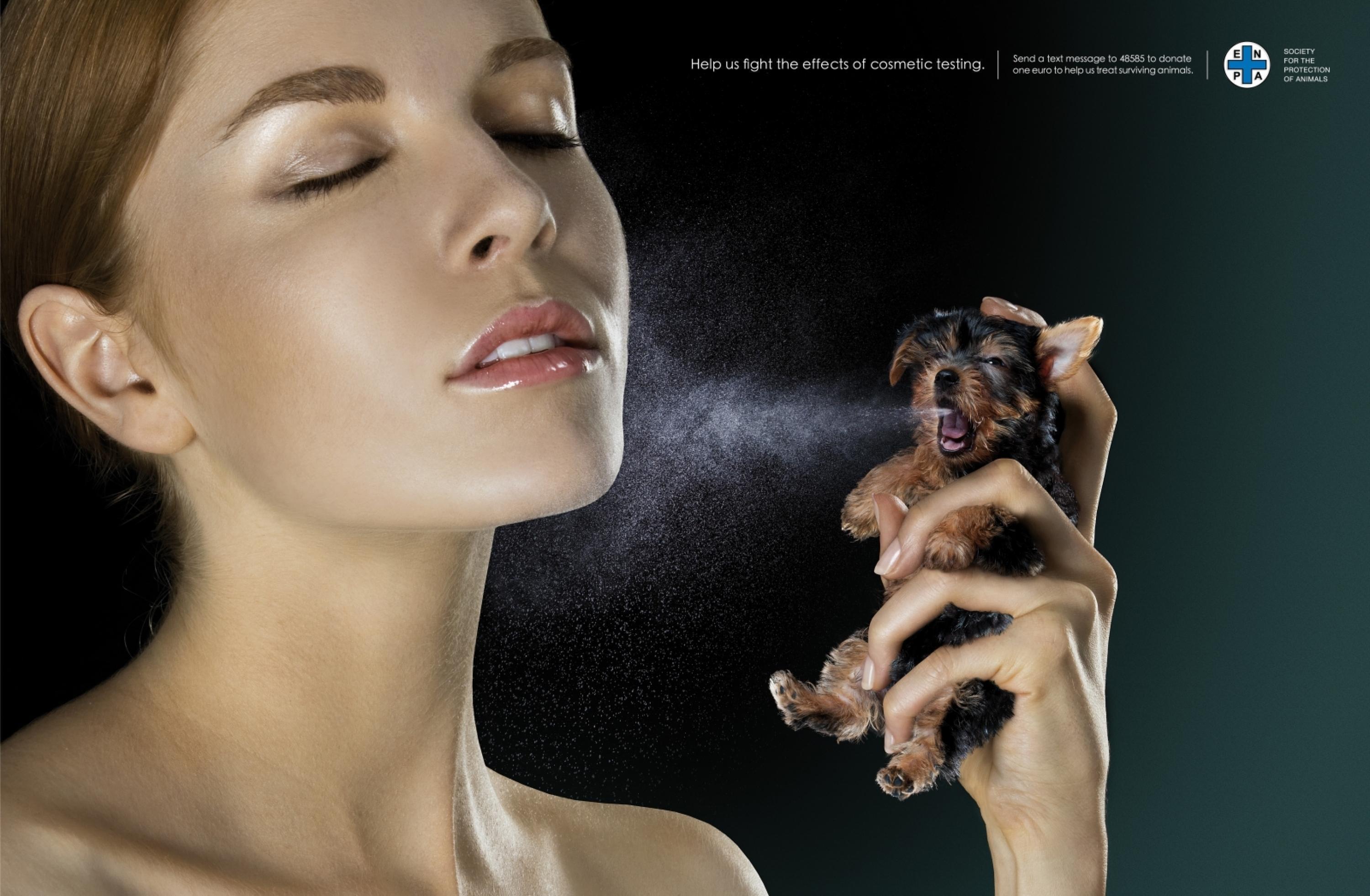 Geek Cat - Marketing - kreatywna kampania przeciw testowaniu kosmetyków na zwierzętach