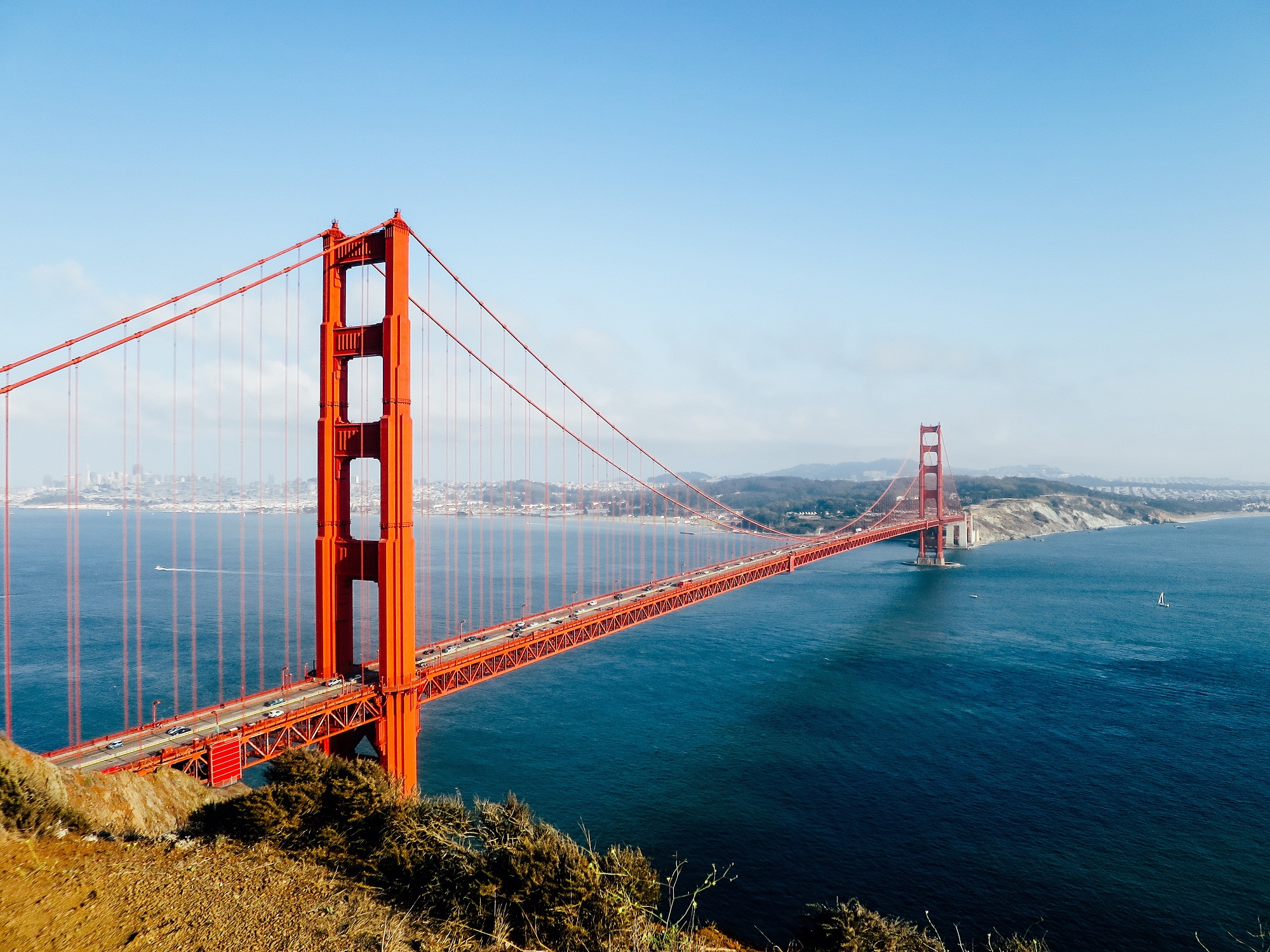 Geek Cat Dolina Krzemowa San Francisco Golden Gate Bridge