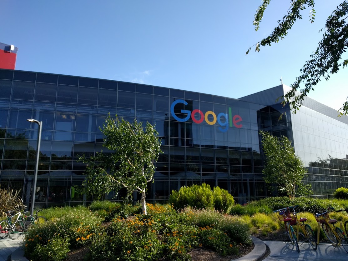 Geek Cat - Googleplex, Google - Dolina Krzemowa
