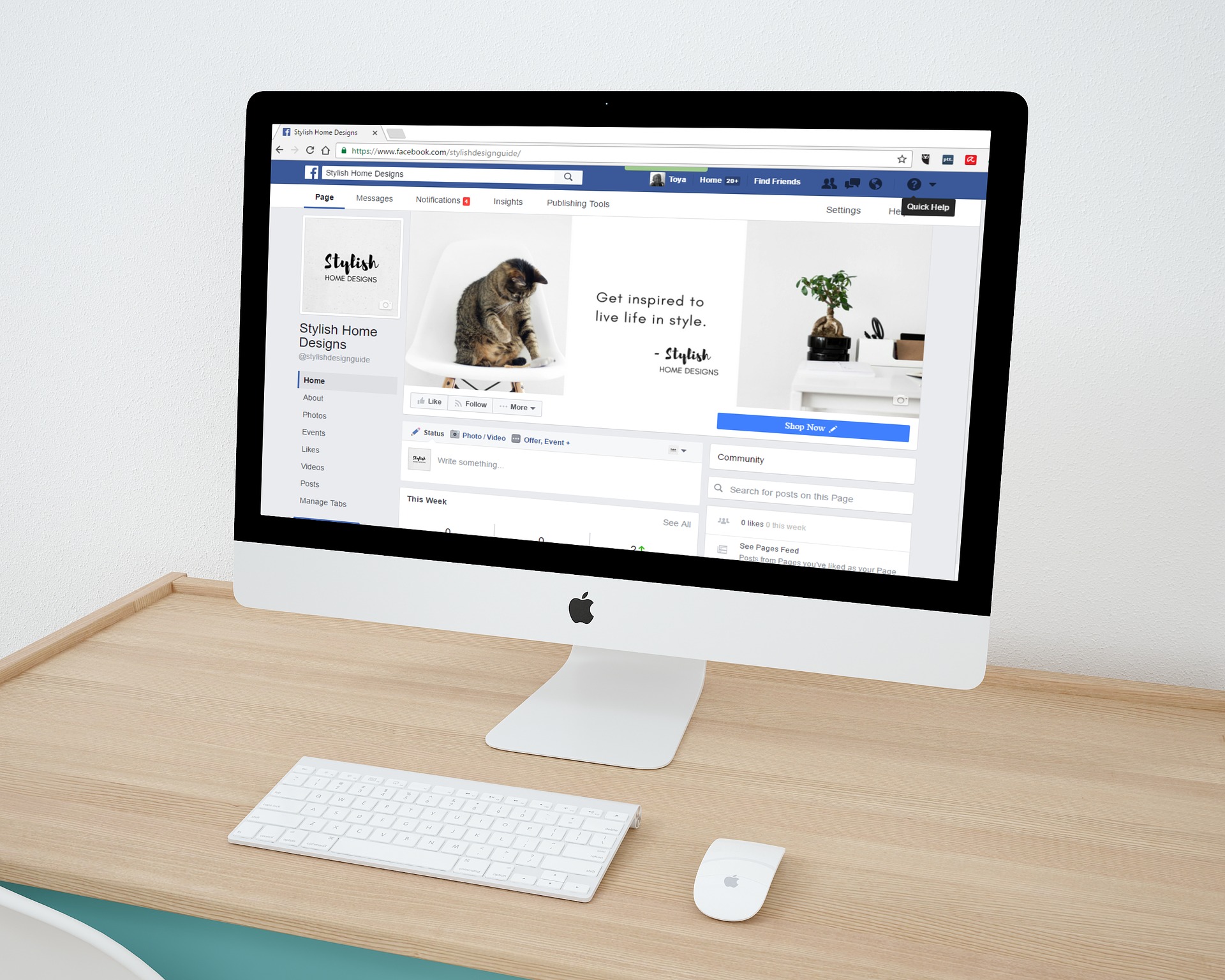 Geek Cat - grupy na Facebooku jak wykorzystać w biznesie