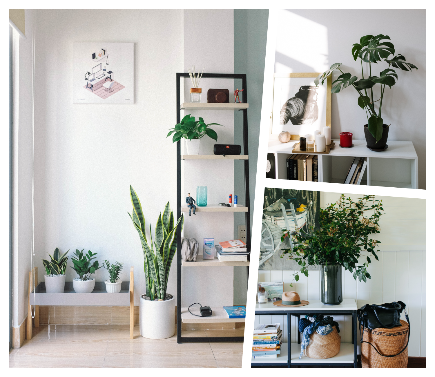Geek Cat jak urządzić domowe biuro rośliny do biura inspiracje