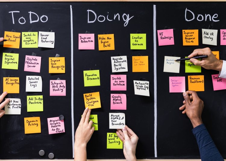 Geek Cat - metody agile.jpg